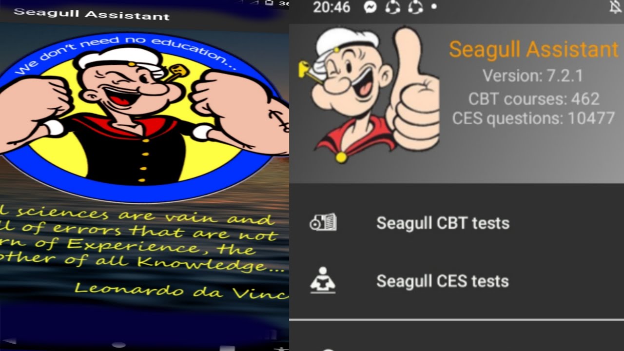 Seagull Assistant Apk Download