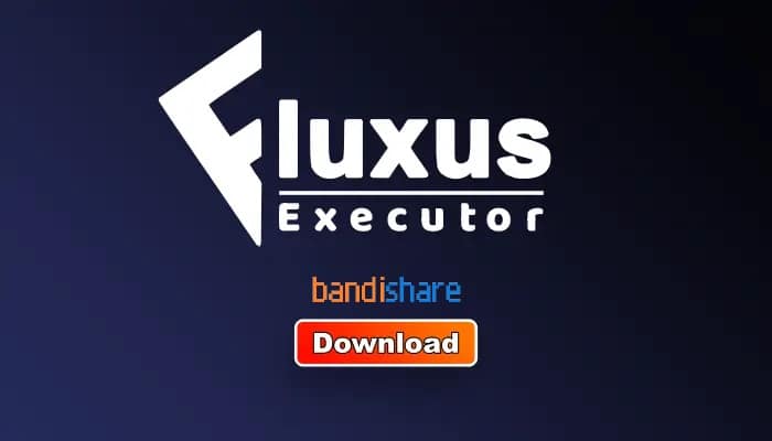 Fluxus V17 APK
