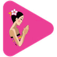 TVmx APK icon