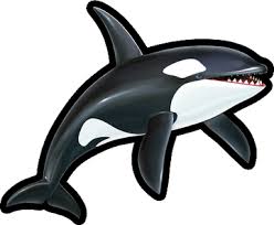 Orca Racing v4 APK APK