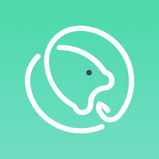 Salon Fishing Game APK APK